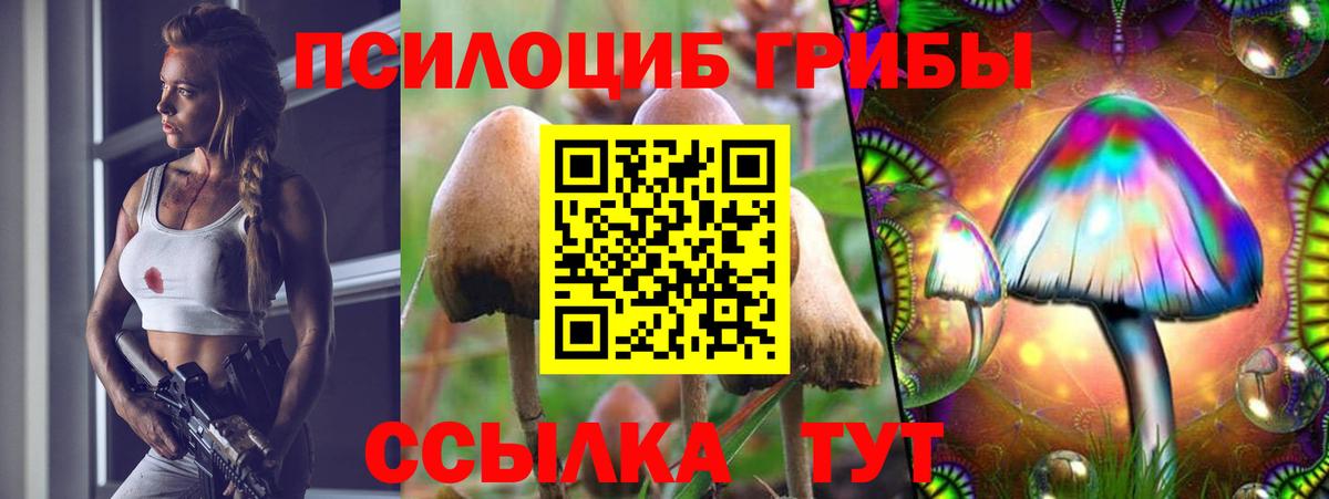 Галлюциногенные грибы мухоморы  Вход с VPN  Фрязино 