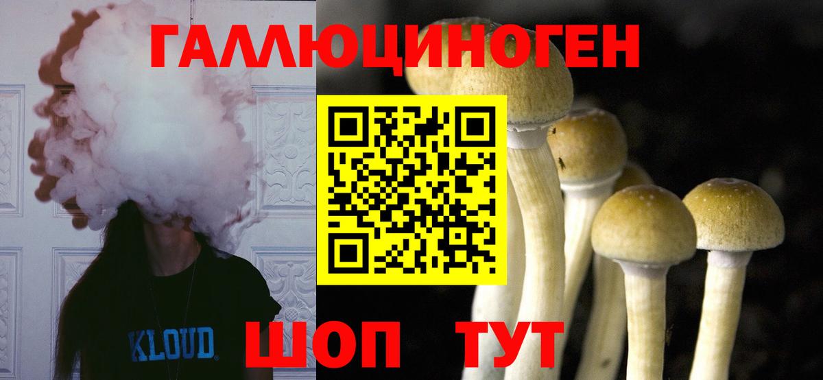 Псилоцибиновые грибы Cubensis Фрязино